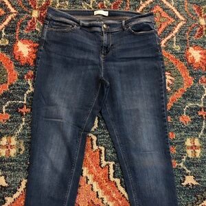 J Jill Slim Ankle Size 14 Jeans